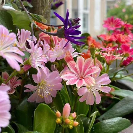 Hotel Aarhus City Apartments Aparthotel 3*