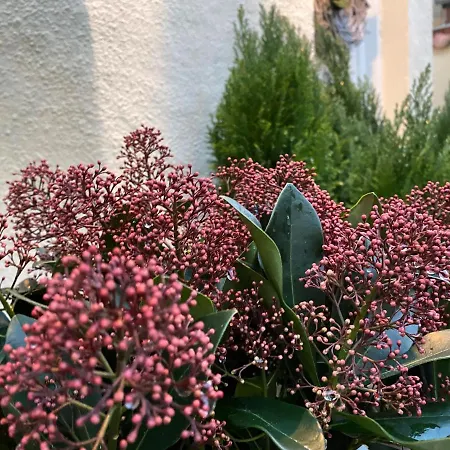 Hotel Aarhus City Apartments Aparthotel 3*